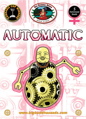 Big Buddha Seeds - Automatic (auto/fem.) 01645