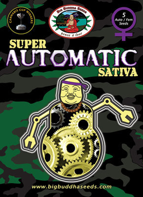 Big Buddha Seeds - Super Automatic Sativa (auto/fem.) 01647