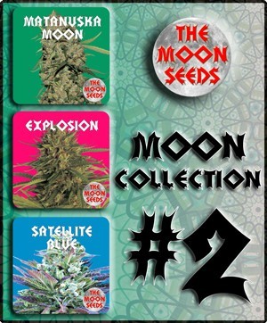 The Moon Seeds - Moon Collection 2 (fem.) moon9