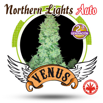 Venus Genetics Seeds - Northern Lights Auto (auto/fem.) VG18