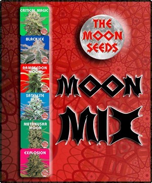 The Moon Seeds - Moon Collection 1 (fem.) moon8
