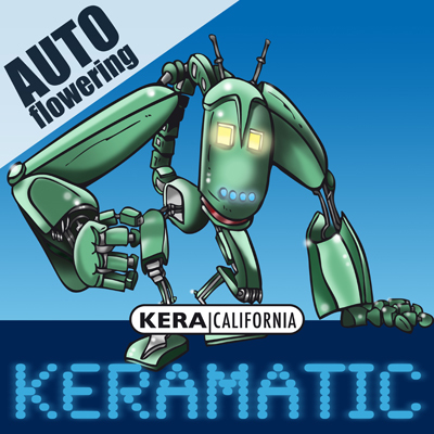 Kera Seeds - Keramatic Auto (auto/fem.) 05047