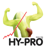 Феминизированные и регулярные семена конопли Hy-pro Seeds - Enemy Of The State SHPF010002