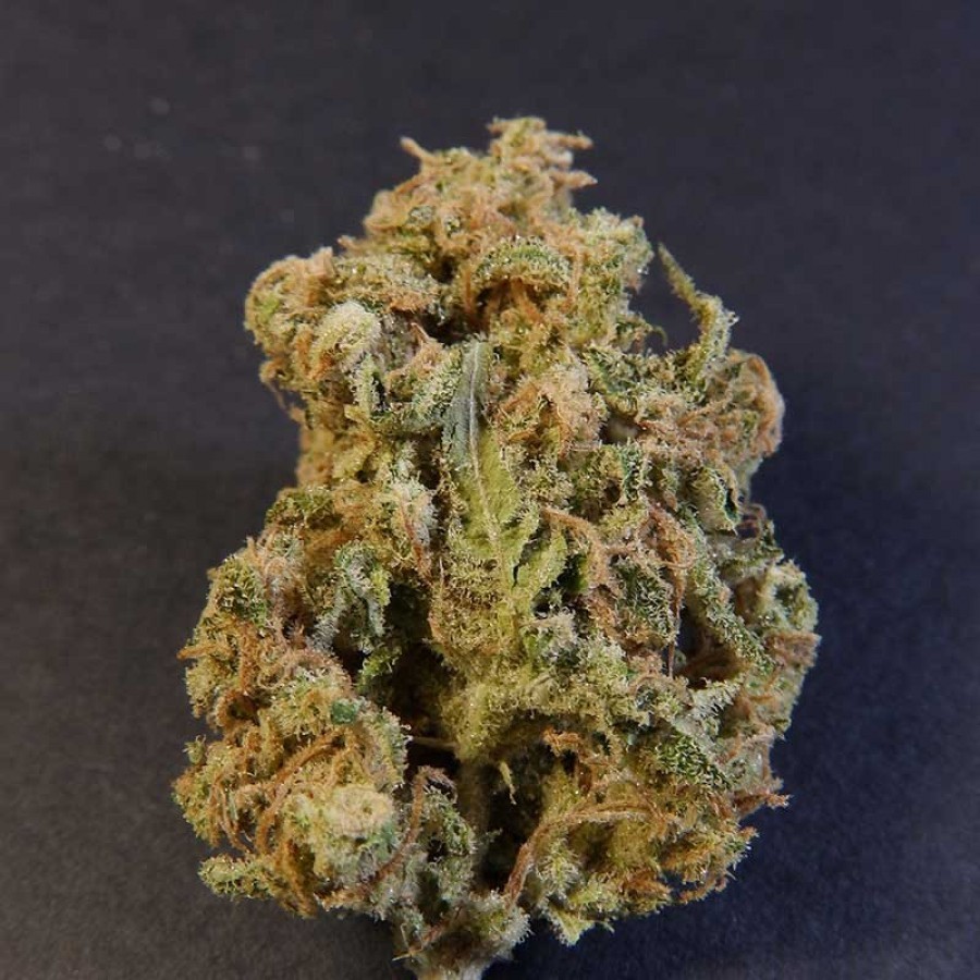 Biohazard Seeds - Psicotropic (fem.)