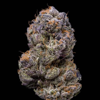 Cookies Seed Bank - Lemongrass (fem.) 🇺🇸 10344