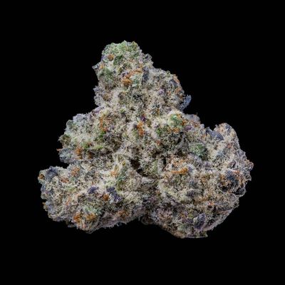 Cookies Seed Bank - Bogota (fem.) 🇺🇸 10354