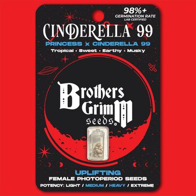 Brothers Grimm Seeds - Cinderella 99 (fem.) 🇺🇸 08857