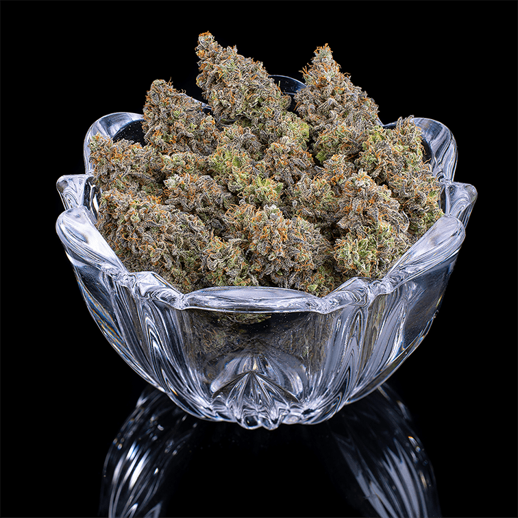 Brothers Grimm Seeds - Princess Haze (fem.)