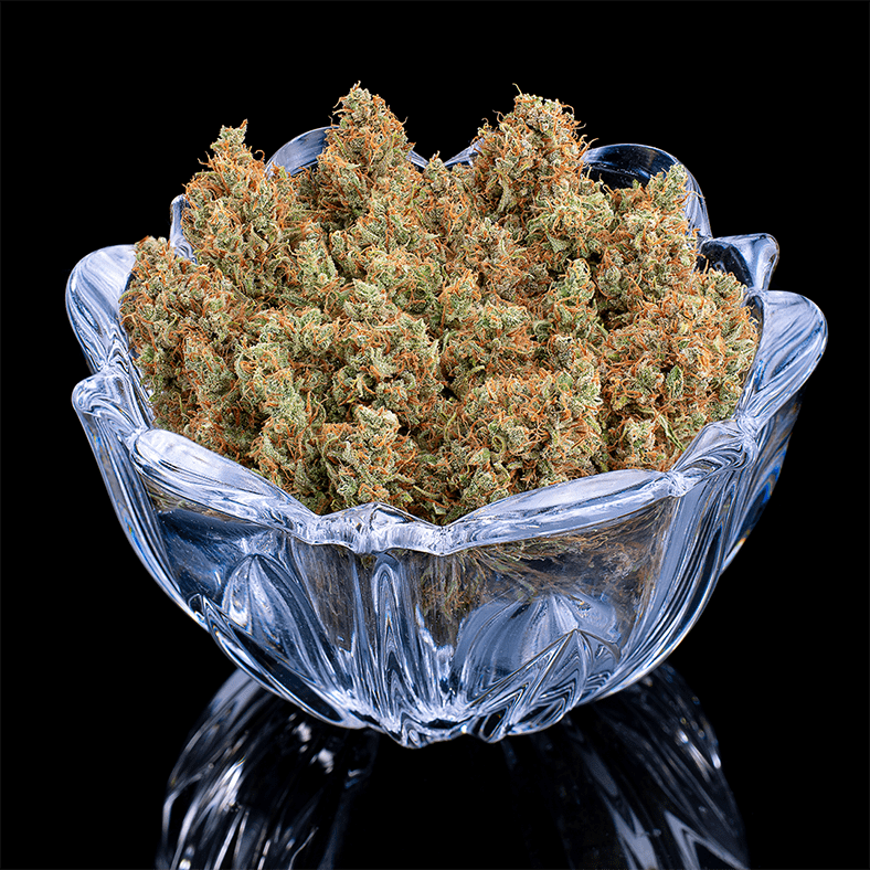 Brothers Grimm Seeds - Durban Thai x C99 (fem.) 🇺🇸