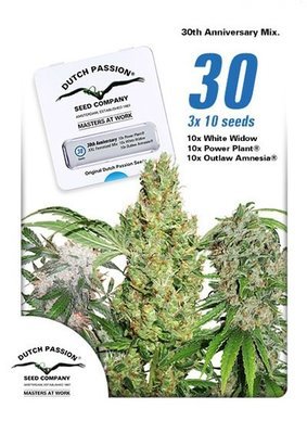 Dutch Passion - 30th Anniversary Mix (fem.) 04978