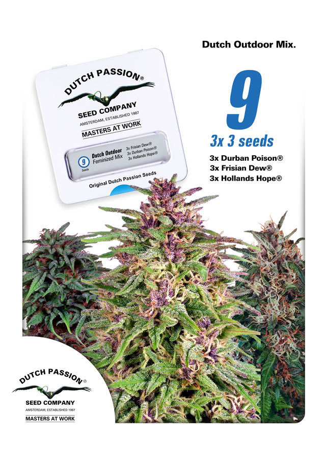 Dutch Passion - Dutch Outdoor Mix (fem.)
