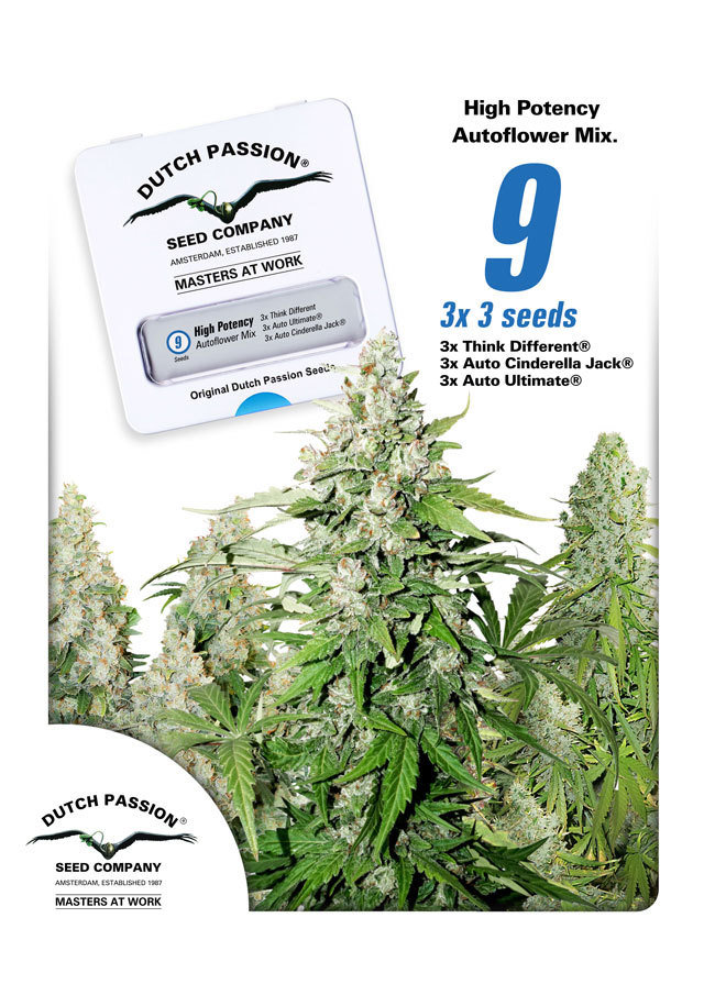 Dutch Passion - High Potency Autoflower Mix (auto/fem.)