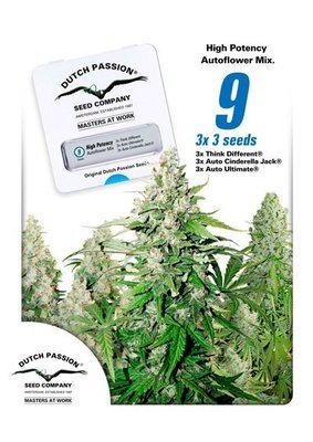 Dutch Passion - High Potency Autoflower Mix (auto/fem.) 04981