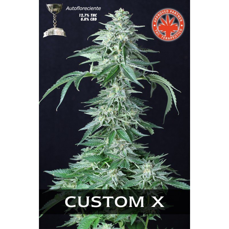 Pure Seeds - Custom X (auto/fem.)