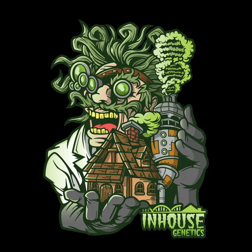 In House Genetics - Black Cherry Flambe (fem.) In House Genetics - Black Cherry Flambe (fem.)