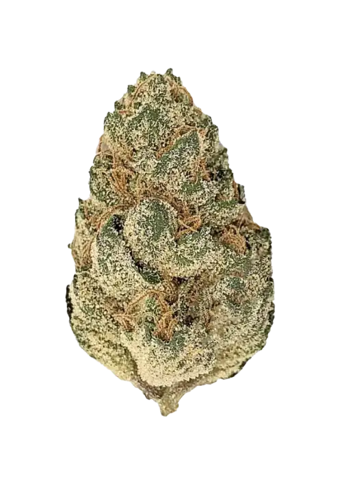 In House Genetics - Frozen Grapes (fem.) In House Genetics - Frozen Grapes (fem.)