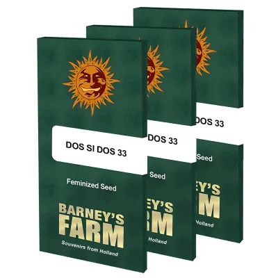Barney's Farm - Dos Si Dos 33 (fem.) 06695