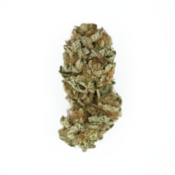 Royal Queen Seeds - Royal Cookies (fem.)