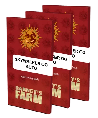 Barney's Farm - Skywalker OG Auto (auto/fem.) 07470