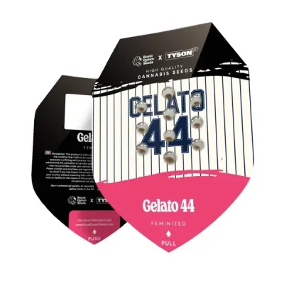 Mike Tyson vs Royal Queen Seeds - Gelato 44 (fem.) 09527