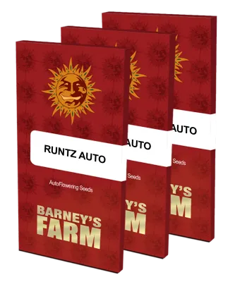 Barney's Farm - Runtz Auto (auto/fem.) 07471