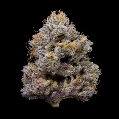 Cookies Seed Bank - ZZ4 (fem.) 🇺🇸 10350