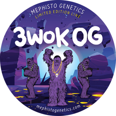Mephisto Genetics - 3wok OG (auto/fem.) 09355