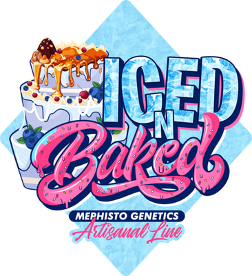 Mephisto Genetics - Iced 'N' Baked (auto/fem.) 09372