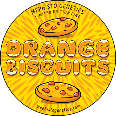 Mephisto Genetics - Orange Biscuits (auto/fem.) 09278