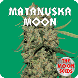 The Moon Seeds - Matanuska Moon (fem.) moon4