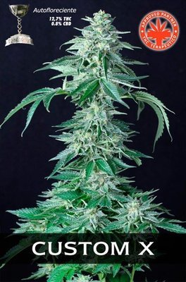 Pure Seeds - Custom X (auto/fem.) 05077