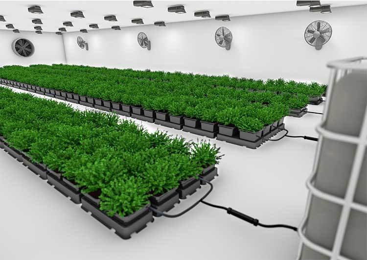 AutoPot Easy2Grow 20 - система для выращивания и автополива растений (20 горшков 8,5 л. или 15 л. + резервуар 225 л.)