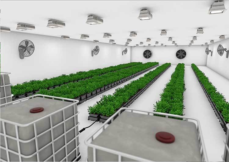 AutoPot Easy2Grow 20 - система для выращивания и автополива растений (20 горшков 8,5 л. или 15 л. + резервуар 225 л.)