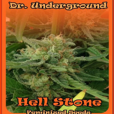 Dr. Underground - Hell Stone (fem.) 01262