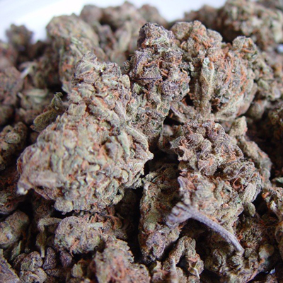 Soma Seeds - Amnesia Haze (reg.) 02197