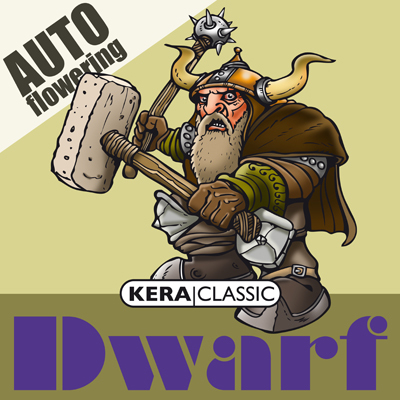 Kera Seeds - Kera Dwarf Auto (auto/fem.) 03172