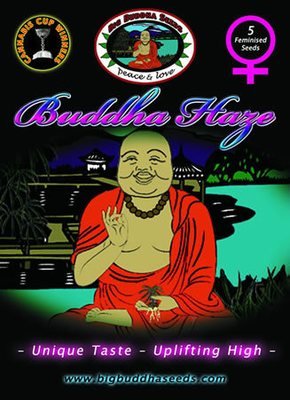 Big Buddha Seeds - Buddha Haze (fem.) 01650