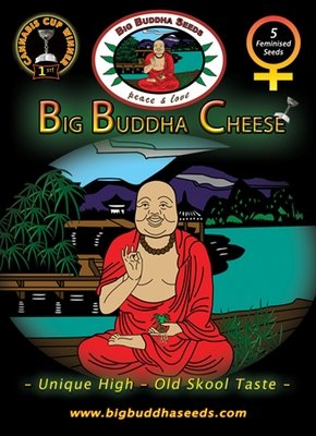 Big Buddha Seeds - Big Buddha Cheese (fem.) 01651