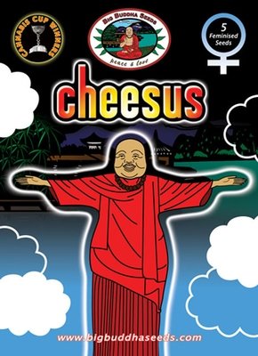 Big Buddha Seeds - Cheesus (fem.) 01653