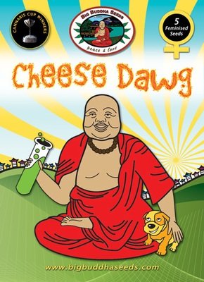 Big Buddha Seeds - Cheese Dawg (fem.) 01652