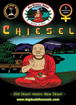 Big Buddha Seeds - Chiesel (fem.) 01655