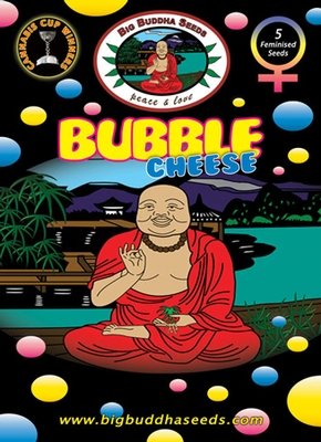 Big Buddha Seeds - Bubble Cheese (fem.) 01649