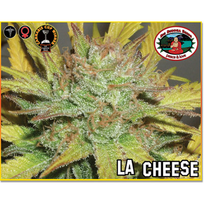 Big Buddha Seeds - L.A. Cheese (fem.) SBBF050010
