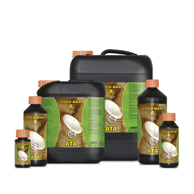 ATA Coco Max A+B 03836