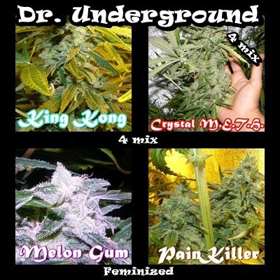 Dr. Underground - Killer Mix (fem.) 04636