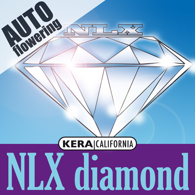 Kera Seeds - NLX Diamond Auto (auto/fem.) 05049
