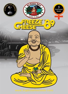 Big Buddha Seeds - Freeze Cheese 89 (fem.) 01656