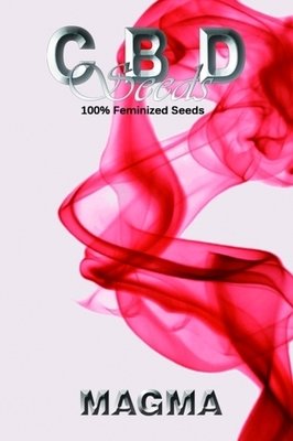 CBD Seeds - Magma (fem.) 04697