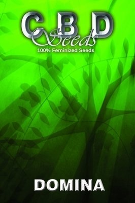CBD Seeds - Domina (fem.) 04687