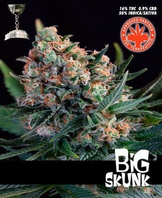 Pure Seeds - Big Skunk (fem.) 05064